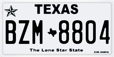 TX license plate BZM8804