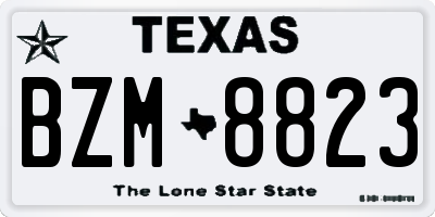 TX license plate BZM8823