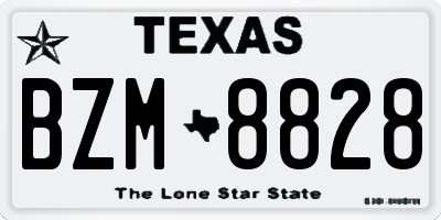 TX license plate BZM8828
