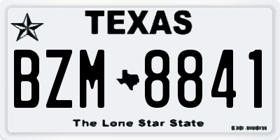 TX license plate BZM8841