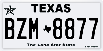 TX license plate BZM8877