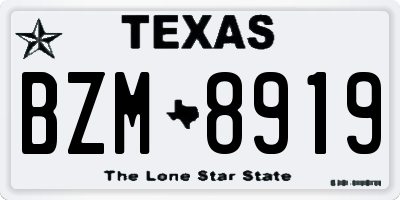 TX license plate BZM8919