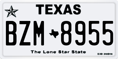 TX license plate BZM8955