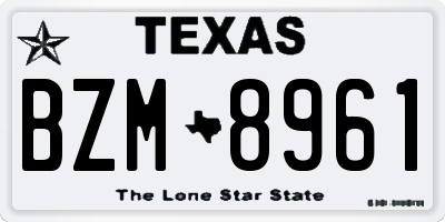 TX license plate BZM8961