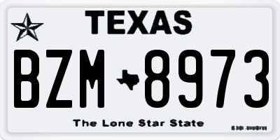 TX license plate BZM8973