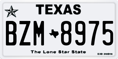 TX license plate BZM8975