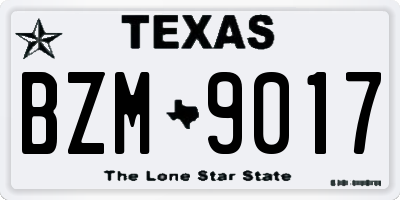TX license plate BZM9017