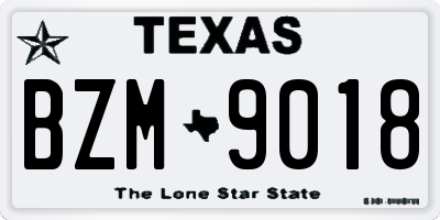 TX license plate BZM9018