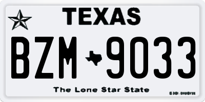 TX license plate BZM9033