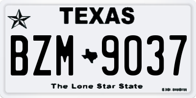 TX license plate BZM9037