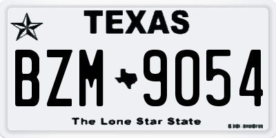 TX license plate BZM9054