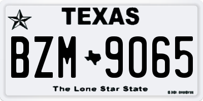 TX license plate BZM9065