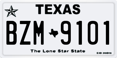 TX license plate BZM9101
