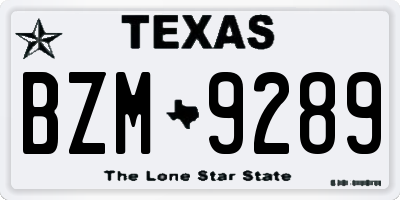 TX license plate BZM9289
