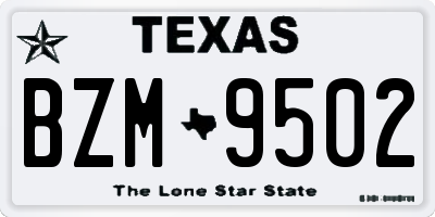 TX license plate BZM9502