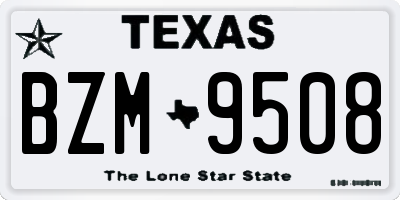 TX license plate BZM9508