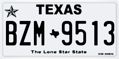 TX license plate BZM9513