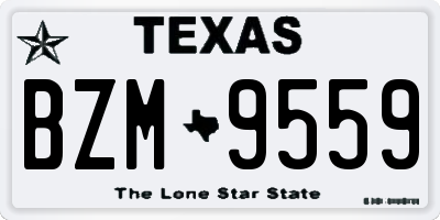 TX license plate BZM9559