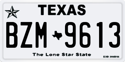 TX license plate BZM9613
