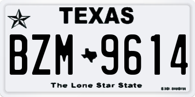 TX license plate BZM9614