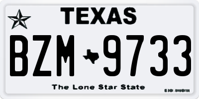TX license plate BZM9733