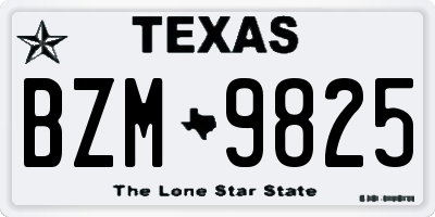 TX license plate BZM9825