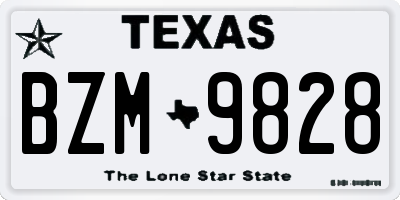 TX license plate BZM9828