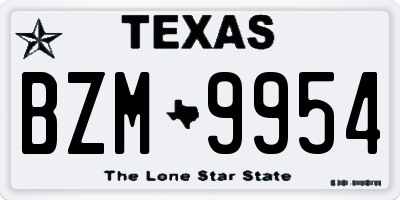 TX license plate BZM9954