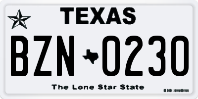 TX license plate BZN0230