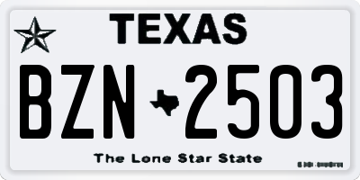 TX license plate BZN2503
