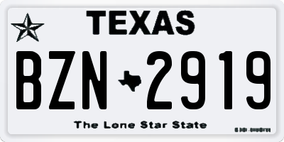 TX license plate BZN2919
