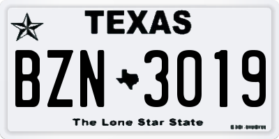 TX license plate BZN3019
