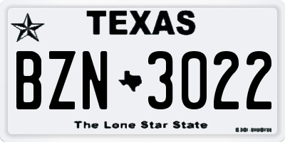 TX license plate BZN3022