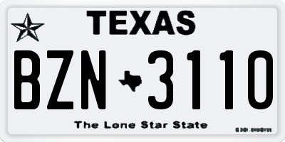 TX license plate BZN3110