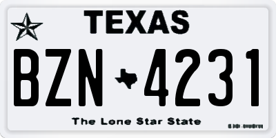 TX license plate BZN4231