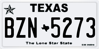 TX license plate BZN5273