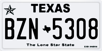 TX license plate BZN5308