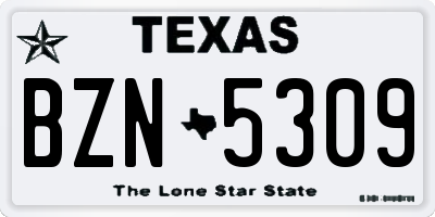 TX license plate BZN5309