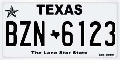 TX license plate BZN6123