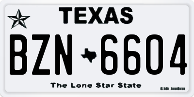 TX license plate BZN6604