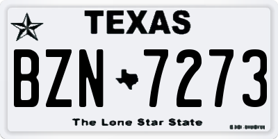 TX license plate BZN7273