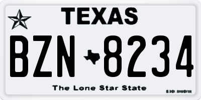 TX license plate BZN8234