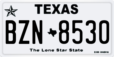 TX license plate BZN8530