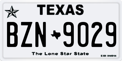 TX license plate BZN9029