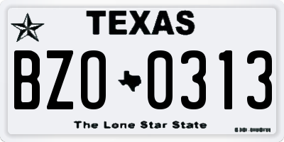 TX license plate BZO0313