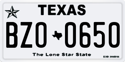 TX license plate BZO0650