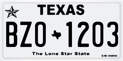 TX license plate BZO1203