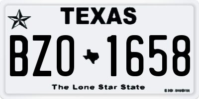 TX license plate BZO1658