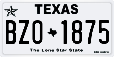 TX license plate BZO1875