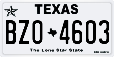 TX license plate BZO4603